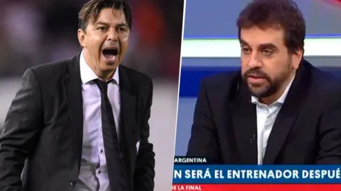 La información de Gallardo en TNT.