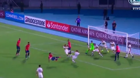 Magnífica tapada de Andrada.