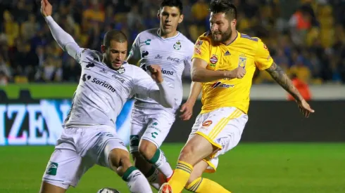 Tigres UANL vs Santos Laguna (Foto: Jam Media)