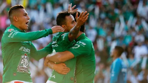 El León enamora a todos.