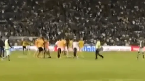 ¡Piel chinita! La reacción de todo Tigres Campeón con el pitazo final