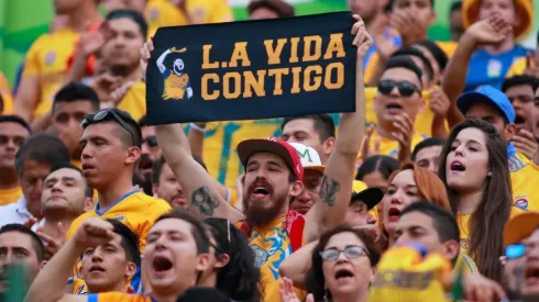 ¿Está loco? Un aficionado de Tigres pintó su casa con el escudo de Tigres
