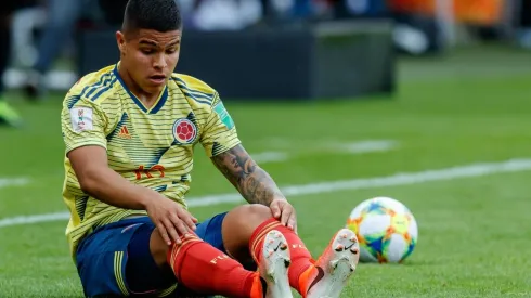 No se deje manosear: Watford especula en el mercado con Cucho Hernández