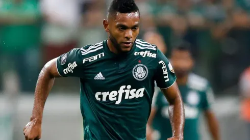 En qué va la negociación de Miguel Ángel Borja al Junior: habló Don Fuad