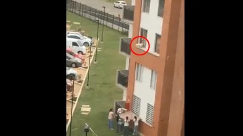 Foto del perro a punto de tirarse.