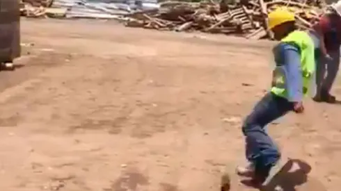 Video viral: vio pasar a un ratón diabólico y lo mandó a volar de una patada