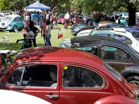 El récord Guinnes que quiere romper México juntando 3 mil autos Volkswagen