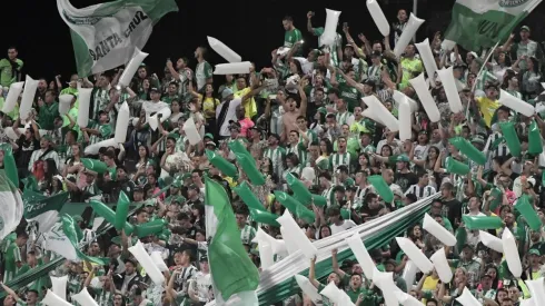 Así quedó el promedio de asistencias a los estadios en la Liga Águila 2019 II