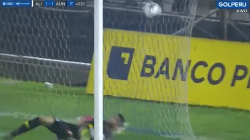 Gallese pertenece al Veracruz de México.