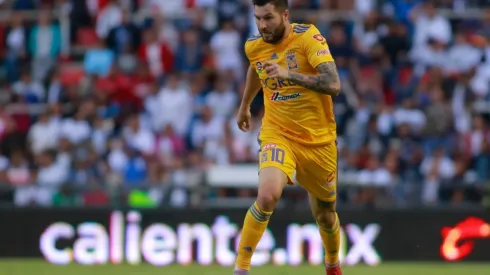 André-Pierre Gignac (Foto: Jam Media)