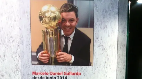 Museo River actualizó los títulos de Gallardo y la rompió con un tuit