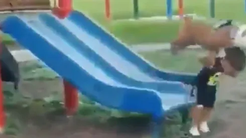 Video viral: este perro se puso diabólico al ver jugar a su dueño