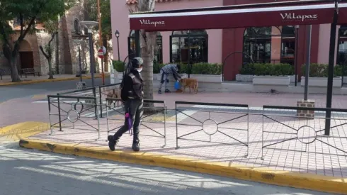 Un municipio repartió comida para los perros de la calle