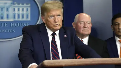 Donald Trump, presidente de Estados Unidos.