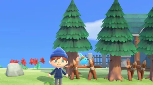 Animal Crossing: New Horizons.