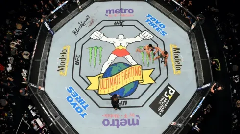 Vuelve la actividad de las artes marciales mixtas