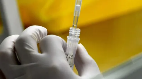 Buenas noticias: resultados positivos en vacuna para Covid-19