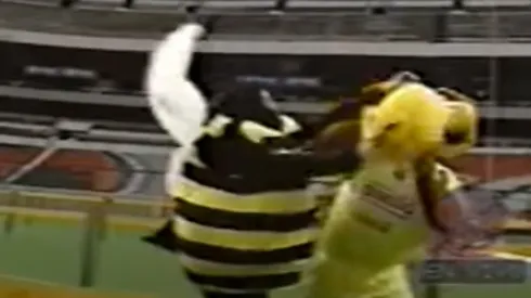 La 'abejita' de Otro Rollo atacó a las mascotas en la carrera de Otro Rollo.