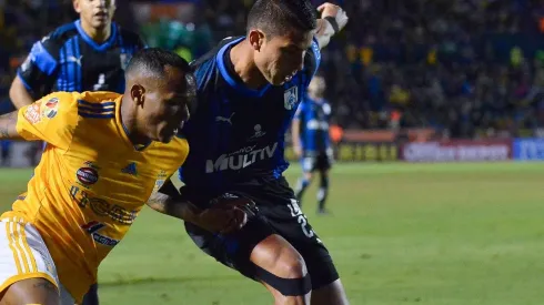 ¡Busca Gallos! El nuevo apuntado por Atlas