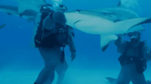 Mike Tyson nadó con tiburones (Captura de pantalla)