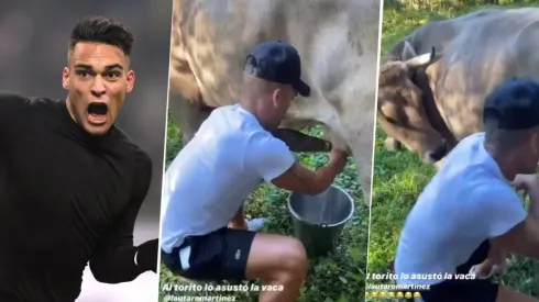 Lautaro Martínez ordeñó a una vaca y se pegó el susto de su vida