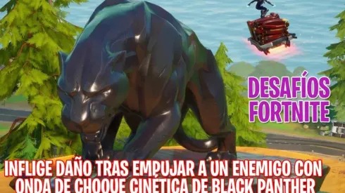 Inflige daño tras empujar a un enemigo con Onda de choque cinética de Black Panther en Fortnite