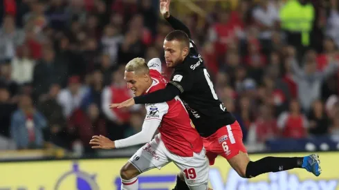 Escarlatas y Cardenales