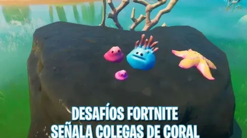 Dónde están los Colegas de Coral en Fortnite - Desafíos Semanales
