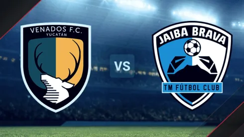 Venados de Yucatán vs. Tampico Madero por la Liga de Expansión MX.