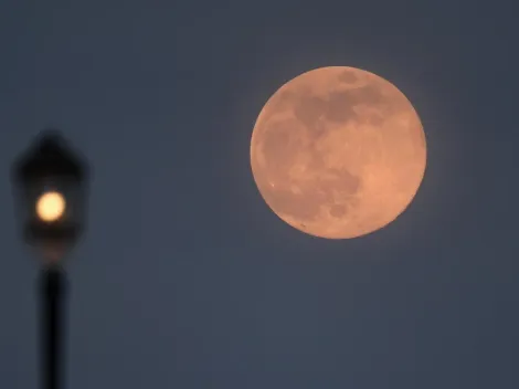 Super Luna Fresa: cuáles serán los signos del zodiaco más afectados por este evento