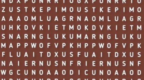 Sólo para expertos: descubre la palabra ZOOLÓGICO en la sopa de letras