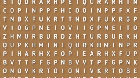 Sopa de letras NIVEL DIOS: encuentra la palabra DIVERTIDO en 7 segundos