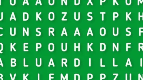 SOLO EL 1% pudo: descubre la palabra ARDILLA en la sopa de letras