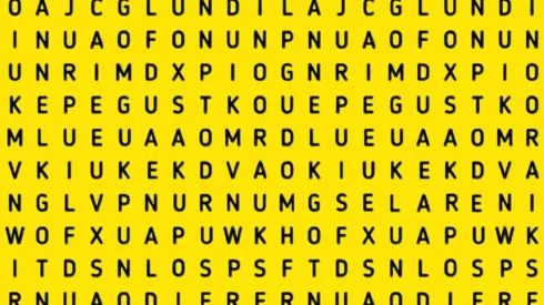 Solo para FENÓMENOS: ubica la palabra MINERALES en 6 segundos