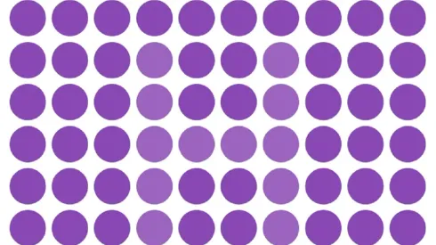 Solo para VISTAS DE HALCÓN: encuentra la letra oculta en la imagen en 13 segundos