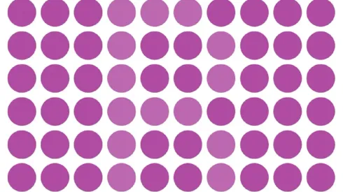 SOLO EL 5% PUDO: encuentra la letra "B" en 25 segundos