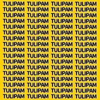 Desafío COMPLICADÍSIMO: encuentra la palabra TULIPAN en 7 segundos