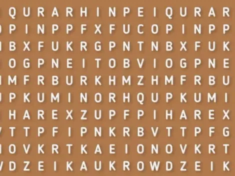 CASI NADIE LO LOGRA: descubre la palabra ERIZO en 6 segundos