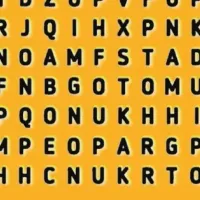 Sopa de letras NIVEL INTERMEDIO: encuentra la palabra JAGUAR en 8 segundos