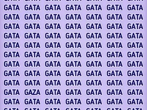 Reto viral: descubre la palabra GAZA en solamente 8 segundos