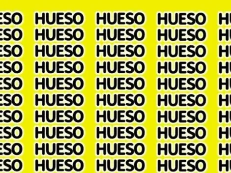 Solo apto para GALLINAS: encuentra la palabra HUEVO en 15 segundos