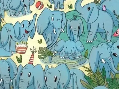 Solo para OBSERVADORES: encuentra al RINOCERONTE INTRUSO en 20 segundos