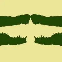 ¿Qué animal ves primero? Descubre tu PEOR DEFECTO