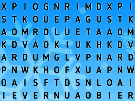 ATENCIÓN TEAM INVIERNO: encuentra la palabra NIEVE en 6 segundos