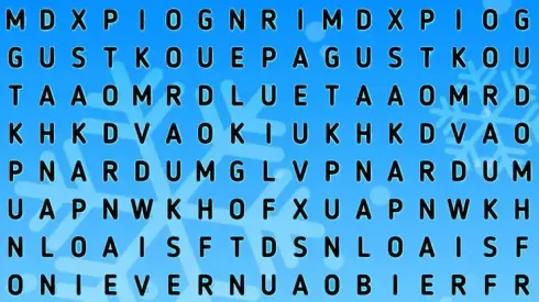 ATENCIÓN TEAM INVIERNO: encuentra la palabra NIEVE en 6 segundos