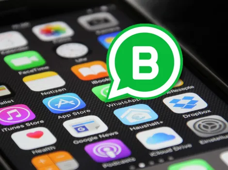 Cómo volver de WhatsApp Business a WhatsApp normal y conservar tus conversaciones