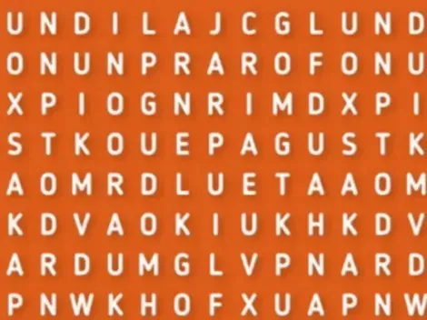 Solo para detectives: descubre la palabra MADAGASCAR en la sopa de letras