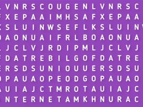 Sólo para HACKERS: descubre la palabra INTERNET en la sopa de letras