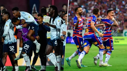 Un gato predice quién será el campeón de la Copa Sudamericana