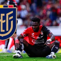 Jordy Caicedo, apunta para titular en la Selección de Ecuador, con estos números